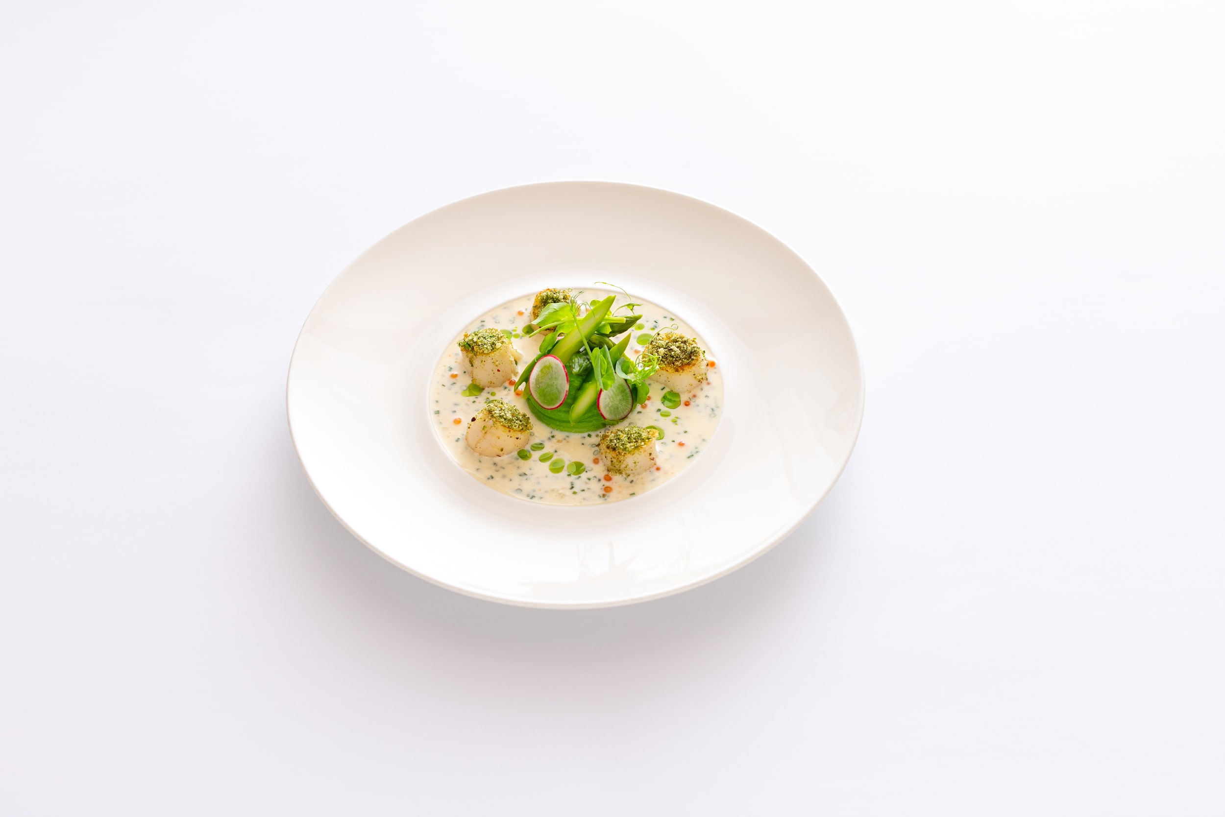 Hõlm-eelroog-kammkarp