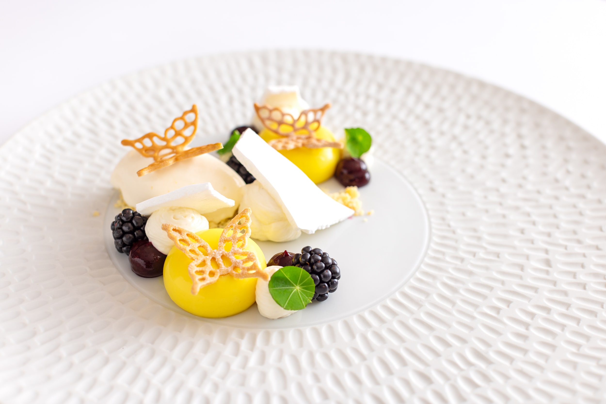 Hõlm-dessert-tsitrus